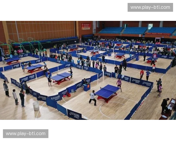 乒乓球免费观看：从入口到内核的全景观赛之旅